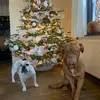 Roland Troquet - @roland.troquet - TikTok