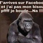 Roland Ruprecht - Facebook