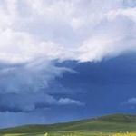 Roland Schaefer - @schaefer.roland - Instagram