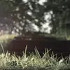 Roland Schaefer - @roland.schaefer - TikTok