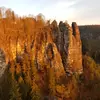 Rolandschaefer - @rolandschaeferee - TikTok