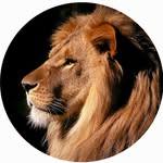 Roland Schäfer - @roland.schafer.96 - Instagram