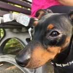 Roland Schäfer - @roland.schafer.98434 - Instagram