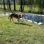 Roland Schäfer - @rolandschafer1949 - Instagram