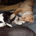 Roland Schmitt - Facebook