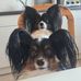 Roland Schmitt - Facebook