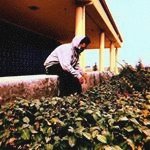 Roland SIMPSON - @rolandsimpson469 - Instagram