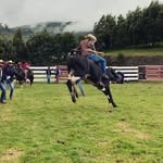 Roland Solis - @roland_solis_ - Instagram