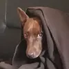 Steffen Roland - @steffen.roland5 - TikTok
