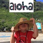 Roland Straub - @roland328 - Instagram