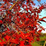 Roland Straub - @rostra8667 - Instagram