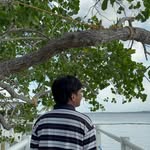 Roland Tan - @rooooowland - Instagram