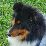 Roland Tan - @rolandtan33 - Instagram