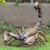 rolandtappert1 - @rolandtappert1 - TikTok
