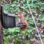 @roland_ward - Instagram