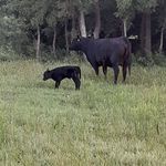 Roland Warner - @roland.warner.393 - Instagram