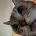 Roland Willis - @grim_815 - Instagram