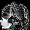 Rolando Campos - @rolando.campos684 - TikTok
