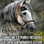 Rolando Cuba - @rolando.cuba.50 - Instagram
