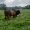 Rolando Jordan - @rolando.jordan3 - TikTok