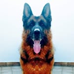 Rolando Leo Jordan - @rolando_leo_jordano - Instagram
