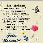 Rolando Lira - @rolandolira19712 - Instagram