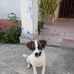 Rolando Polanco - Facebook