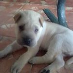 Rolando Quiñones - @rolandoquinones56 - Instagram