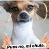 Rolando Salas - @rolandosalas - TikTok