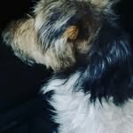 Rolando serrano - @rolando.m.serrano - Instagram