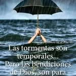 Pedro Antonio roldan ayala - @pedroantonioroldanayala - Instagram