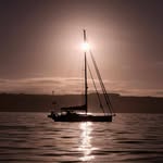 Rolf Engels - @rolf.engels.31 - Instagram