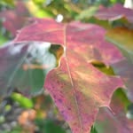 Rolf Ewald - @ewald.rolf - Instagram