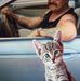 Rolf Haas - Facebook