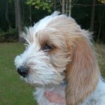 Rolf Johansson - @rolf.johansson.564 - Instagram