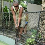 Rolf Johansson - @rolf.johansson.9041 - Instagram
