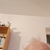 Rolf Johansson - @rolf.johansson91 - TikTok