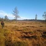Rolf Johansson - @rjskogab - Instagram