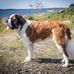 Rolf Johnsen - Facebook