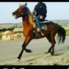 RolfJohnsen - @rolfjohnsenlqehbnzv - TikTok