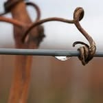 Rolf Kaiser - @kaiser_rolf - Instagram