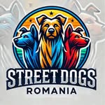 Rolf Kaiser - @streetdogsromaniatgjiu - Instagram