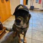 Rolf Meyer - @rolfmeyer123 - Instagram