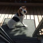 Rolf Nelson - @rolfnelson649 - Instagram