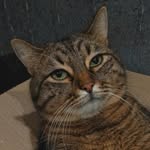 Rolf Schmidt - @serp.ens - Instagram