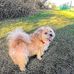 Rolland Allen - Facebook