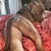 Rolland Jackson - Facebook
