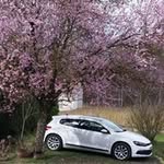 Romain Alexandre - @foupoudav22 - Instagram