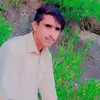 romanali - @romanali481 - TikTok