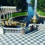 Роман Алиев - @romanaliev95 - Instagram